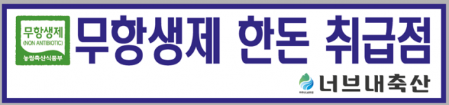 강원더몰,너브내 한돈 무항생제 목살 500g [강원도도지사인증축산물]